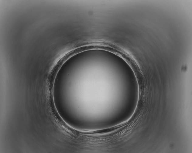X0000095961360200801181435