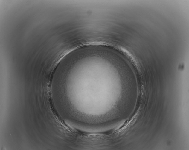 X0000095961361200801181435
