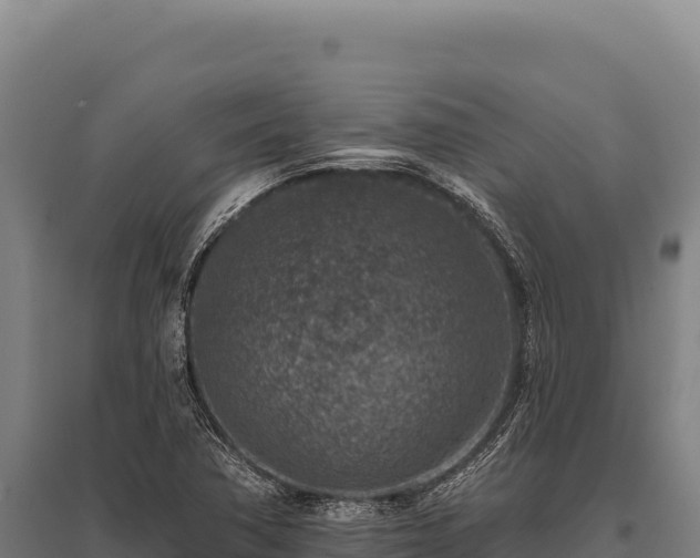 X0000095961362200801181435