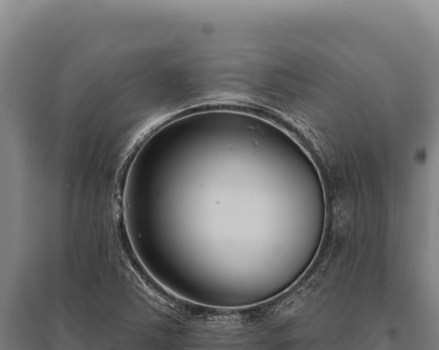 X0000095961363200801181435