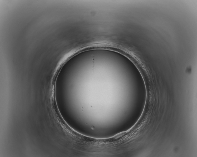 X0000095961366200801181435