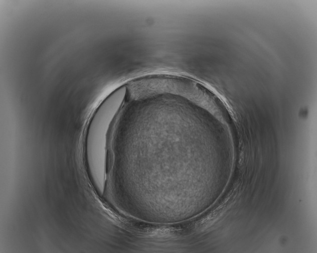 X0000095961367200801181435