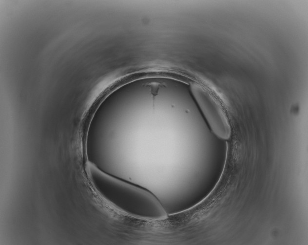 X0000095961368200801181435
