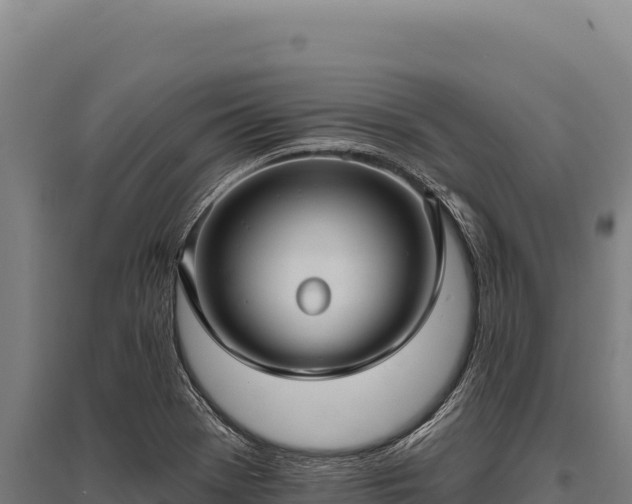 X0000095961369200801181435