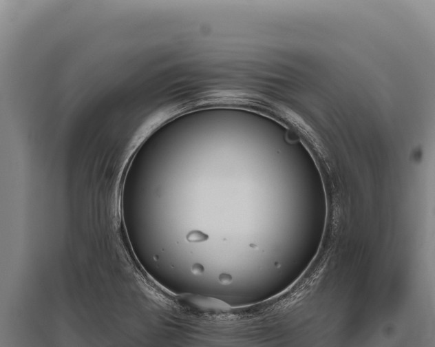 X0000095961370200801181435