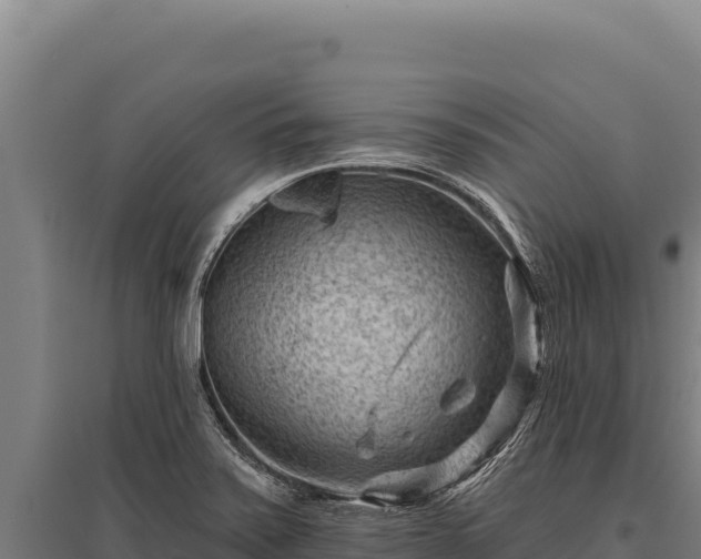 X0000095961371200801181435