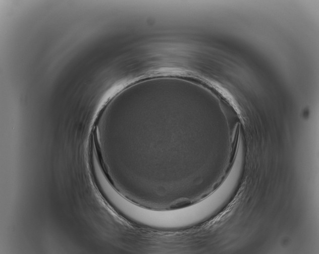 X0000095961373200801181435