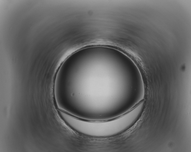 X0000095961374200801181435