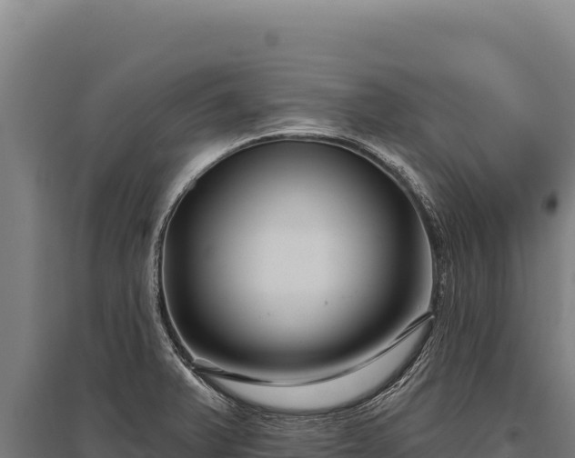 X0000095961375200801181435