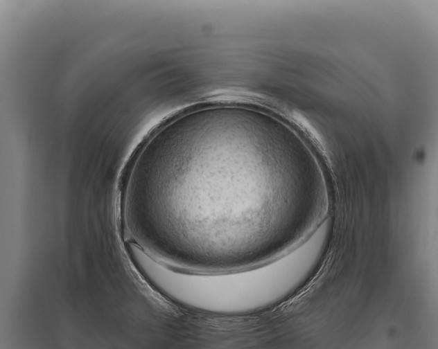 X0000095961376200801181435