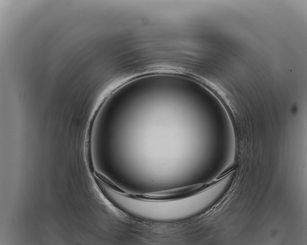 X0000095961379200801181435
