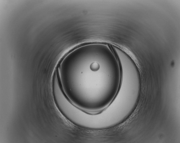 X0000095961380200801181435