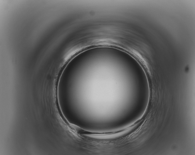 X0000095961384200801181434