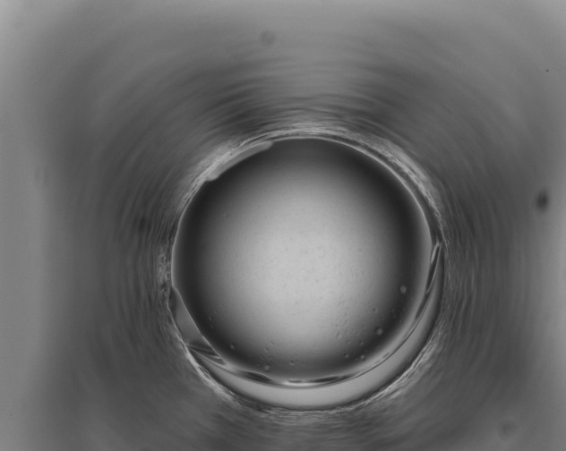 X0000095961385200801181434