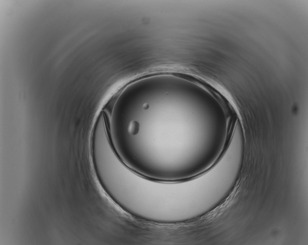 X0000095961389200801181434