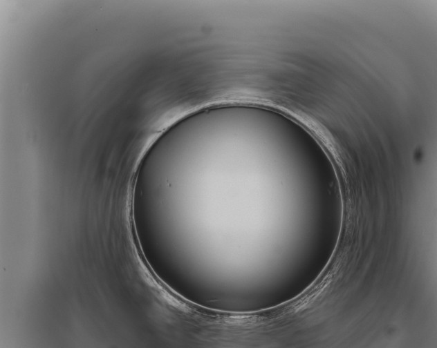 X0000095961390200801181434