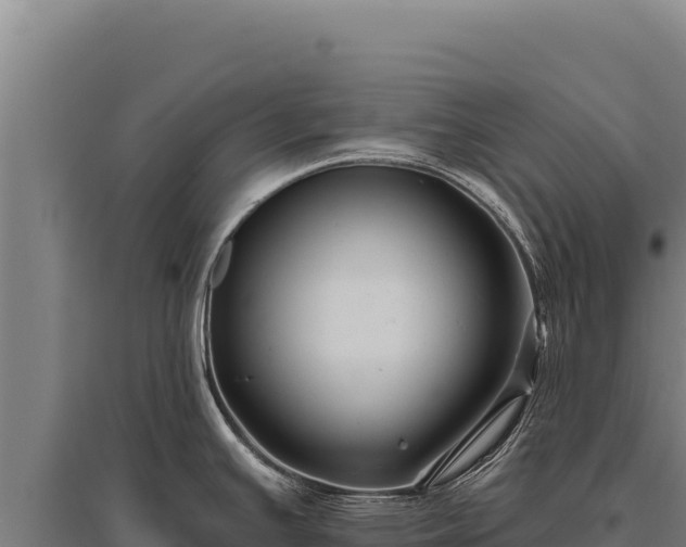 X0000095961391200801181434