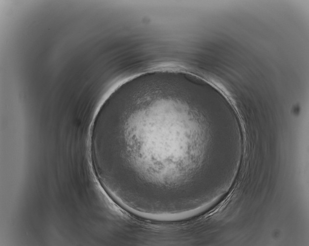X0000095961392200801181434