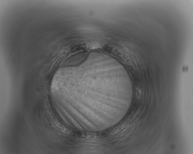 X0000095961393200801181434