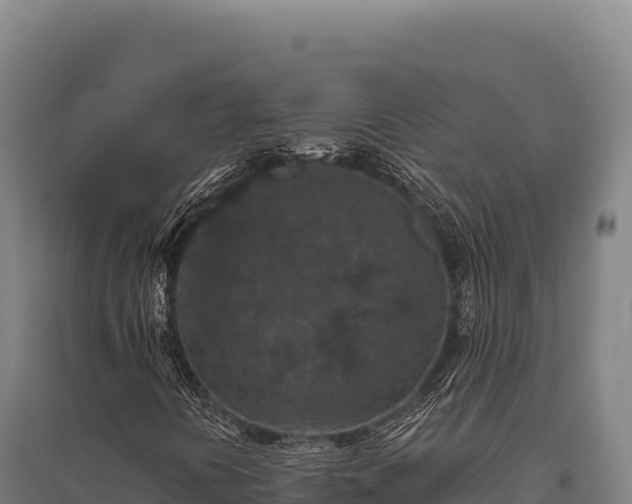 X0000095961394200801181434