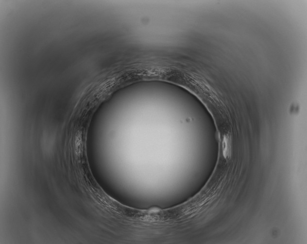 X0000095961395200801181434