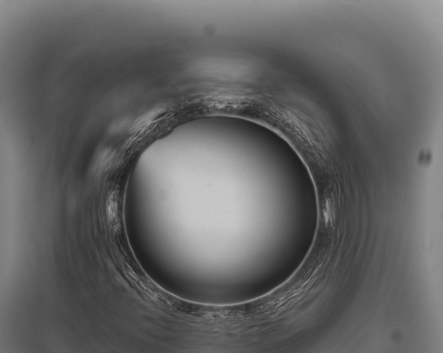 X0000095961396200801181434