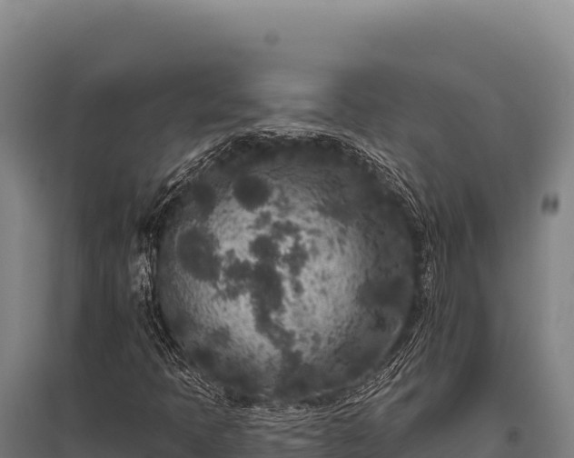 X0000095961397200801181434