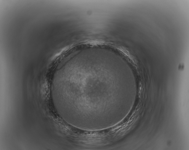 X0000095961398200801181434