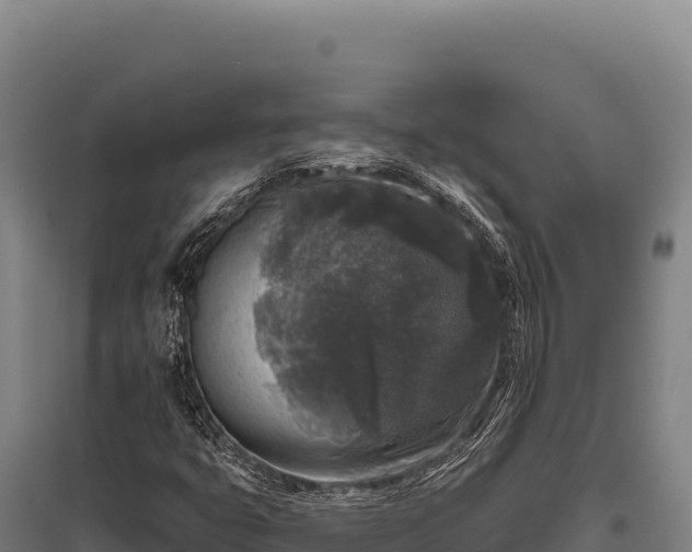 X0000095961399200801181434