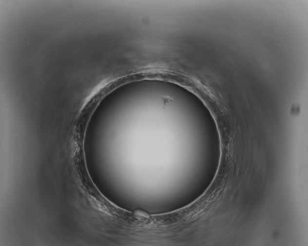 X0000095961400200801181434