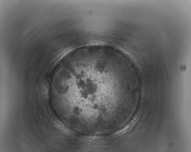 X0000095961401200801181434