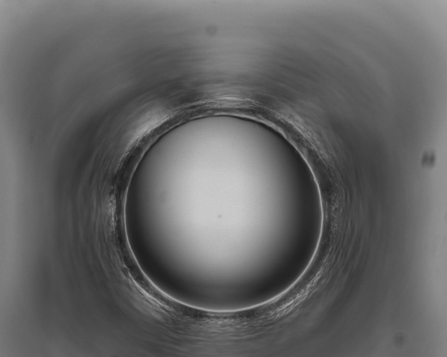 X0000095961402200801181434