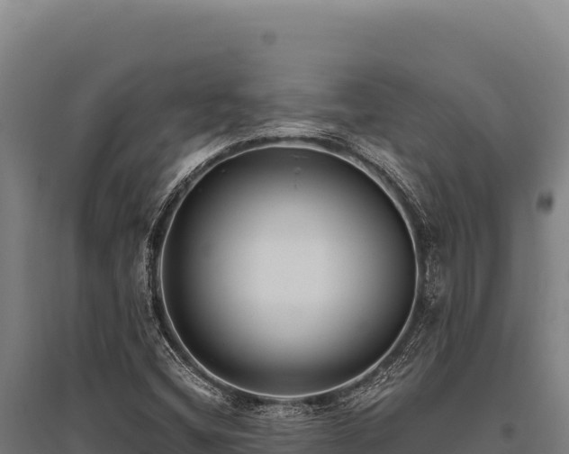 X0000095961404200801181434