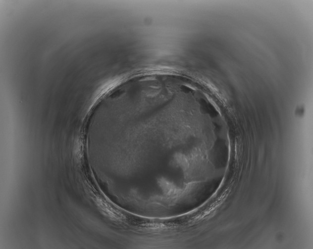 X0000095961405200801181434