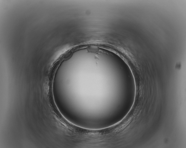 X0000095961406200801181434
