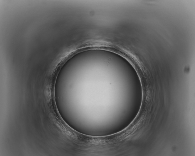 X0000095961407200801181434