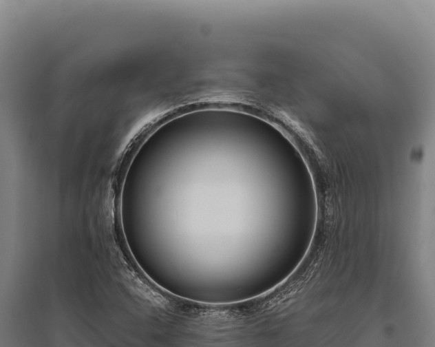 X0000095961408200801181434