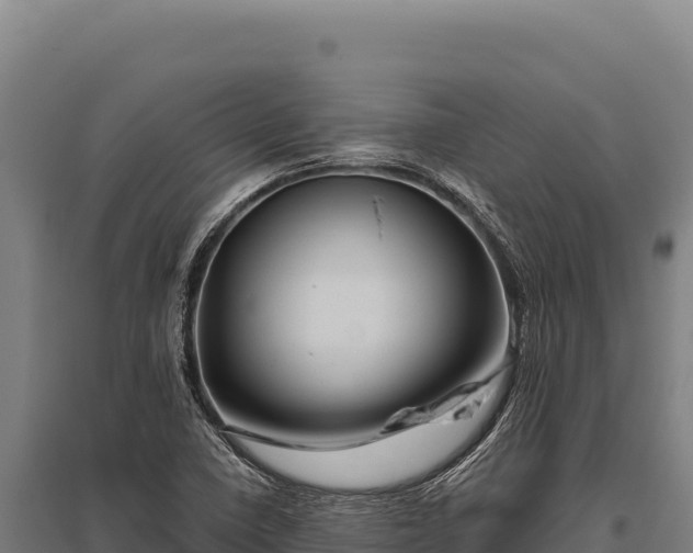 X0000095961410200801181434