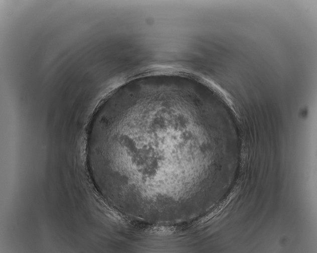X0000095961411200801181434