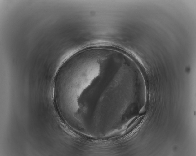 X0000095961413200801181434