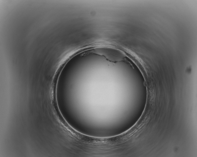 X0000095961415200801181434