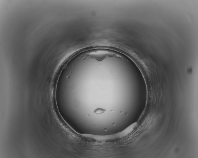 X0000095961416200801181434