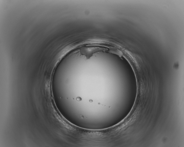 X0000095961417200801181434