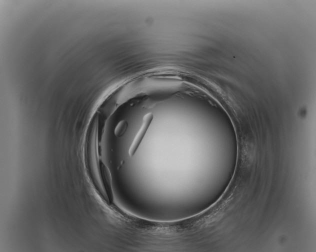 X0000095961418200801181434