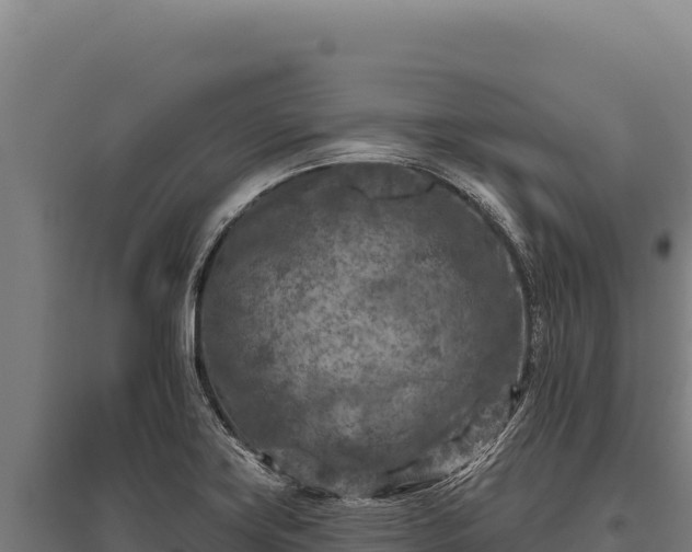 X0000095961419200801181434