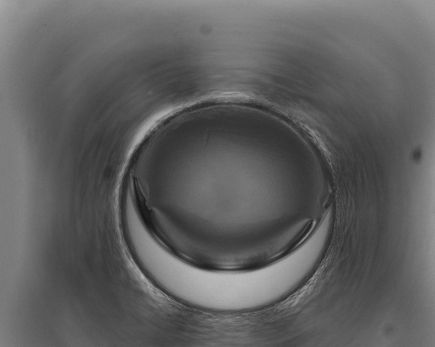 X0000095961422200801181434