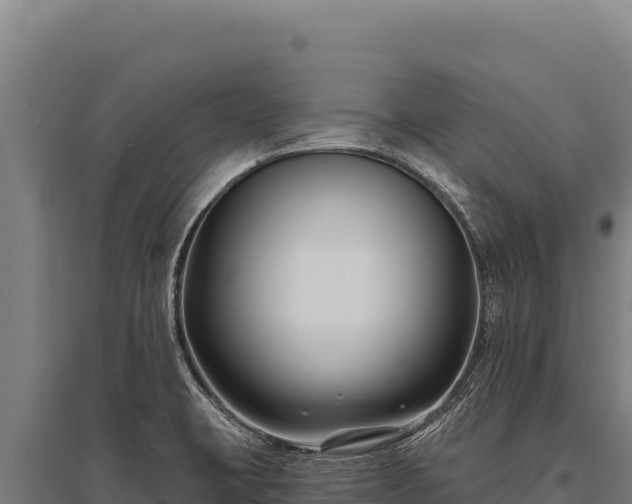 X0000095961423200801181434
