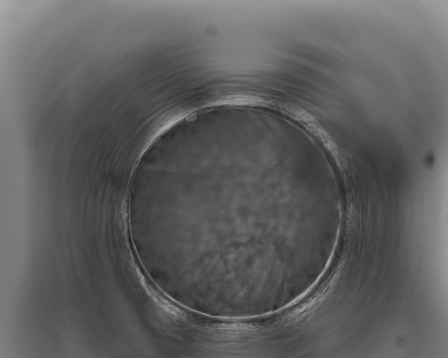 X0000095961425200801181434
