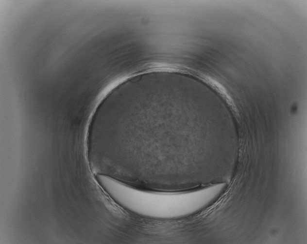 X0000095961427200801181434