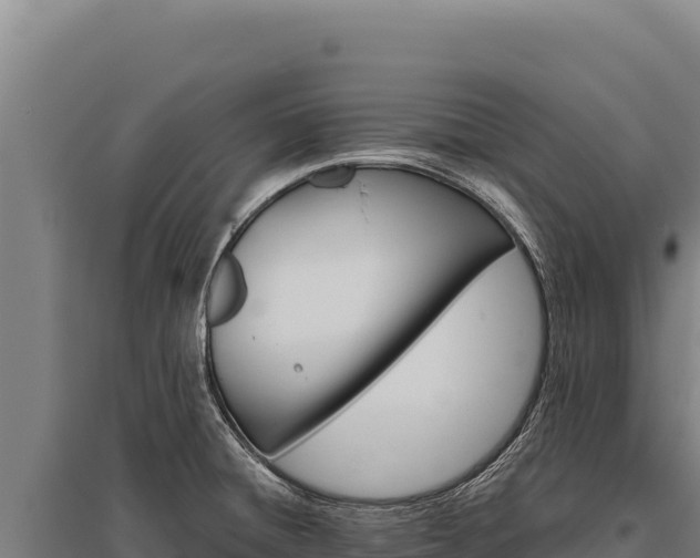 X0000095961428200801181434